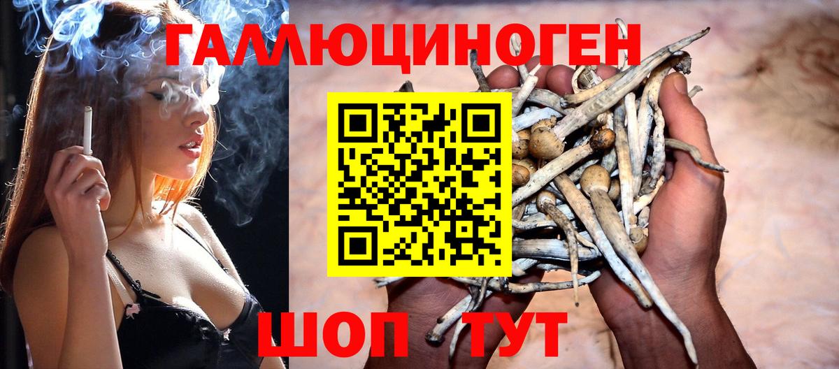 Галлюциногенные грибы Magic Shrooms Дедовск